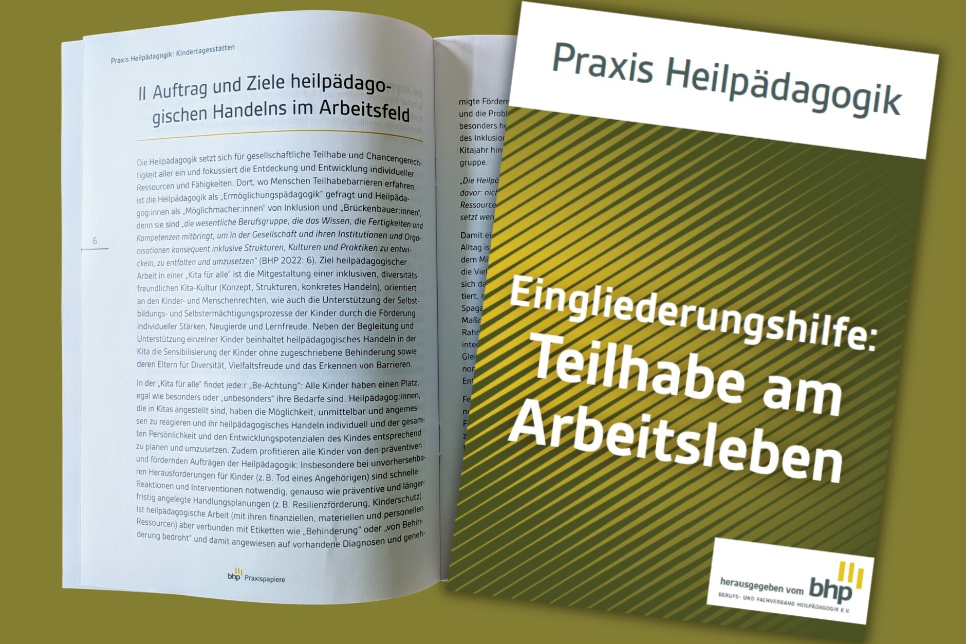 Praxis Heilpädagogik Teilhabe am Arbeitsleben