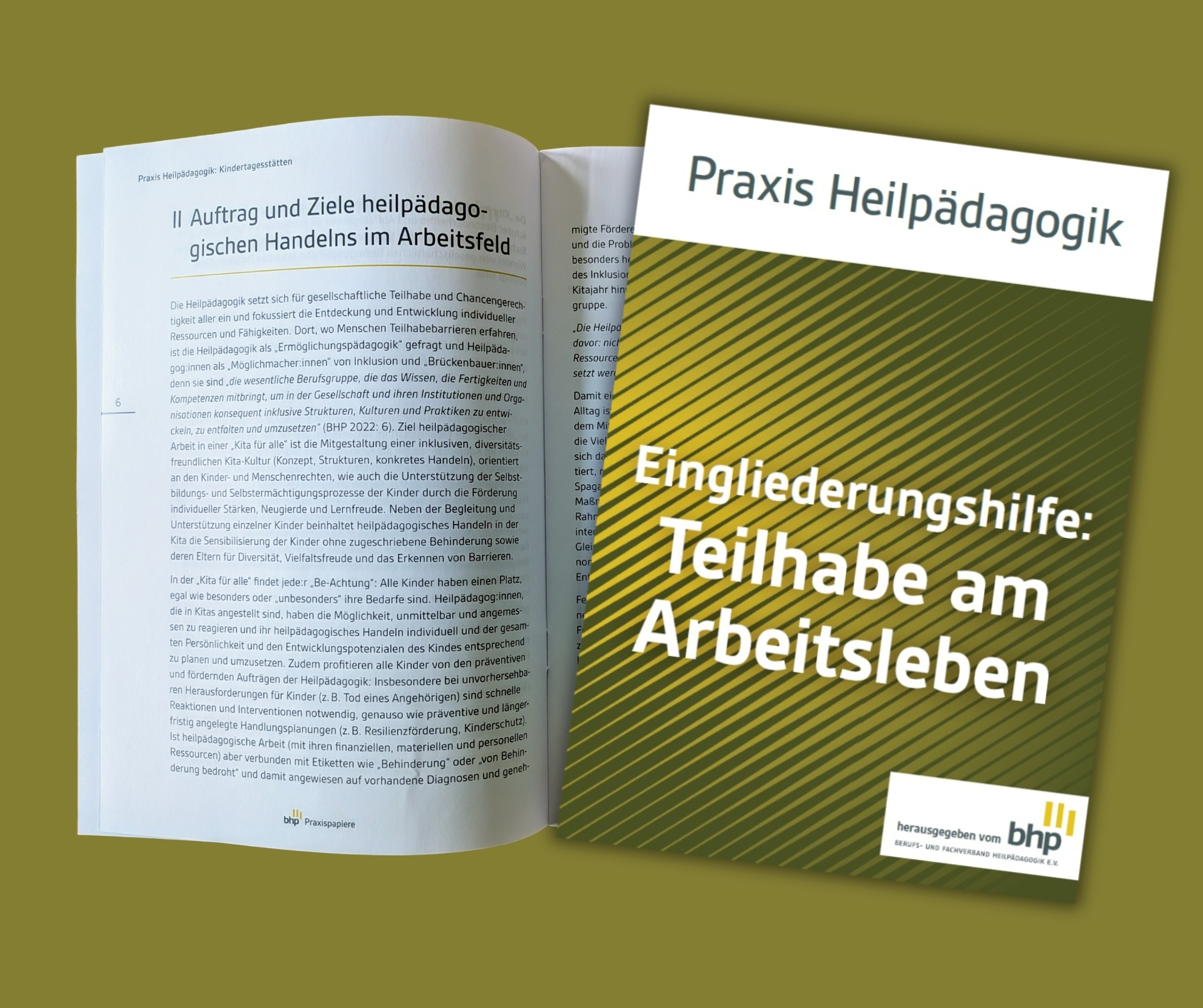 Praxis Heilpädagogik Teilhabe am Arbeitsleben