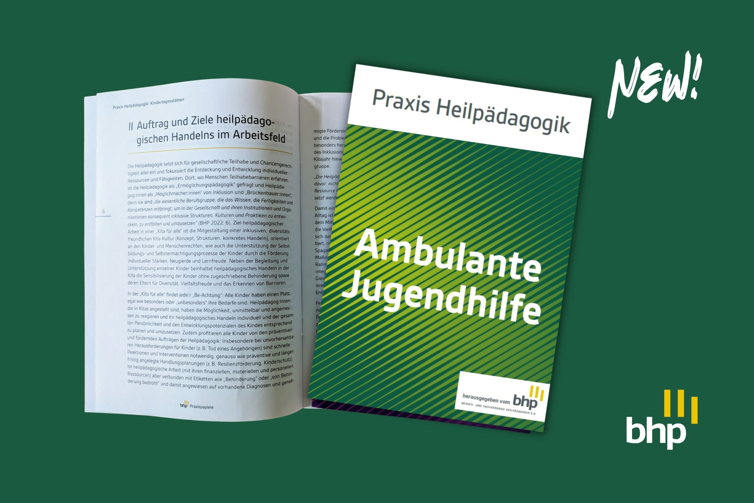 Coverbild des Praxispapieres zur ambulanten Jugendhilge grün mit Streifeb,